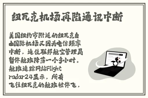 麻豆视屏入口